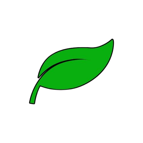 LeafStudio